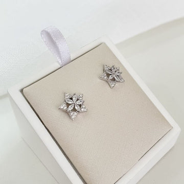 Brinco Prata Flor Pedra Cravejado