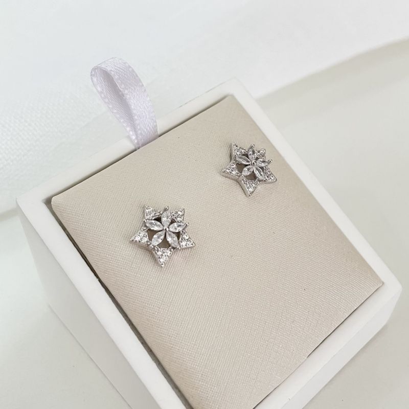 Brinco Prata Flor Pedra Cravejado